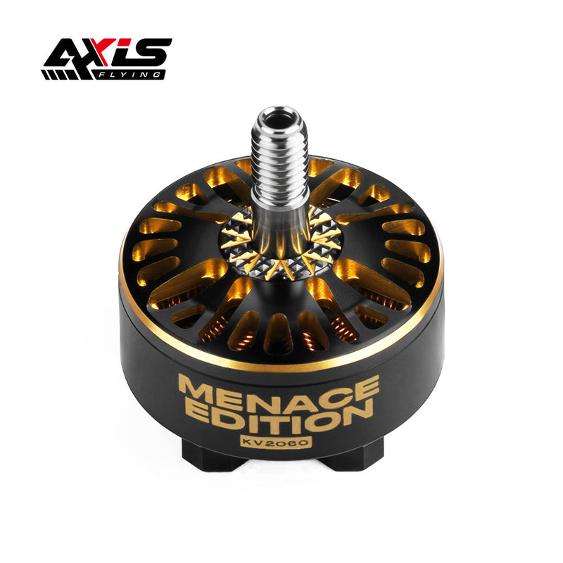 BlackBird V4 2307 6S Motor | AxisFlying Top Quality